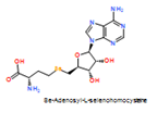 Se-Adenosyl-L-selenohomocysteine