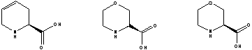 ecolec_Boc_Fmoc