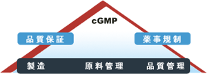 cGMP